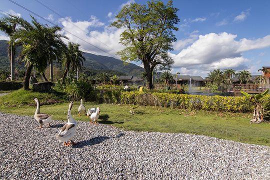 Ruisui Palm Lakes B&B Exterior foto